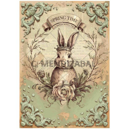 copy of 